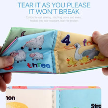 Baby Cloth Books