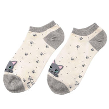5 Pairs Curly Cat Socks
